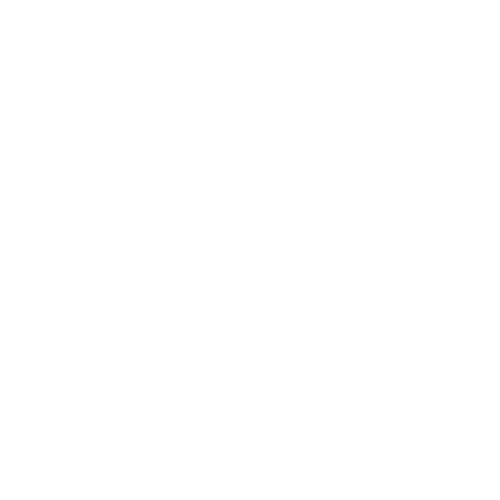 icon 03
